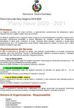 Piano Neve 2020 2021 - Comune di Vaiano Cremasco