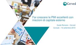 Far crescere le PMI eccellenti con iniezioni di capitale esterno - Guido Romano - Cerved Consob - 16 settembre 2019