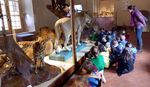 ATTIVITA' AREA EDUCATIVA 2018-2019 e PROGRAMMAZIONE 2019-2020 - A cura di Angela Dini Rosa Baviello Silvia Sorbi Livia Cei Silvia Asciamprener ...