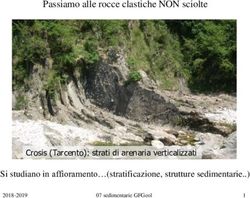 Passiamo alle rocce clastiche NON sciolte - Si studiano in affioramento