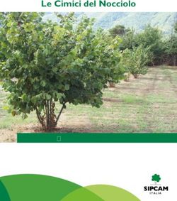 SOLUZIONI TECNICHE - Le Cimici del Nocciolo - Sipcam Italia