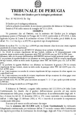 TRIBUNALE DI PERUGIA Ufficio del Giudice per le indagini preliminari