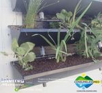 CONSUME LESS IN MEDITERRANEAN TOURISTIC COMMUNITIES - Nuove Frontiere per un Turismo Sostenibile e di Comunità - Svi.Med. onlus