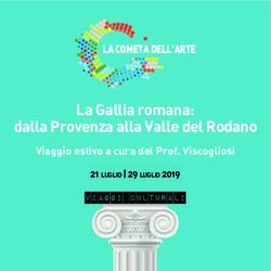 La Gallia romana: dalla Provenza alla Valle del Rodano - LA COMETA DELL'ARTE Viaggio estivo a cura del Prof. Viscogliosi