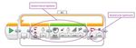 Robotica educativacon il kit Lego EV3 - e-Lite