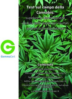 Test sul campo della Cannabis: superare la disomogeneità chimica della pianta per risultati accurati sulla sua potenza - Phytolite