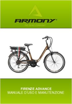 FIRENZE ADVANCE MANUALE D'USO E MANUTENZIONE
