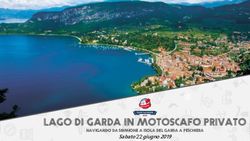 Lago di Garda in motoscafo privato - Sabato 15 giugno 2019 Navigando da Sirmione a Isola del Garda a Peschiera - Salvadori Leisure