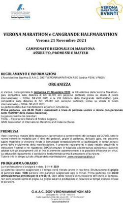VERONA MARATHON e CANGRANDE HALFMARATHON - Verona 21 Novembre 2021