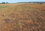 Laore Agris - TECNICHE DI AGRICOLTURA CONSERVATIVA - Sardegna Digital Library
