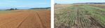 Laore Agris - TECNICHE DI AGRICOLTURA CONSERVATIVA - Sardegna Digital Library