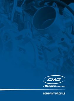 COMPANY PROFILE - CMD Engine