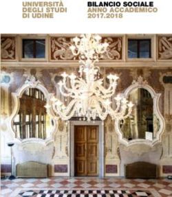 UNIVERSITÀ DEGLI STUDI DI UDINE BILANCIO SOCIALE ANNO ACCADEMICO 2017.2018 - UNIUD