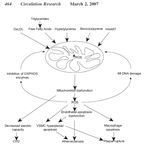 Il dr. Alfredo Capuano dichiara di NON aver ricevuto negli ultimi due anni compensi o finanziamenti da Aziende Farmaceutiche e/o Diagnostiche ...