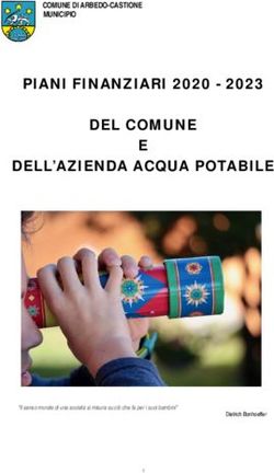 PIANI FINANZIARI 2020 - 2023 DEL COMUNE E DELL'AZIENDA ACQUA POTABILE - COMUNE DI ARBEDO-CASTIONE MUNICIPIO - 2023 DEL COMUNE E DELL ...