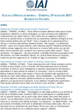 ITALIA E DIFESA EUROPEA - TORINO, 19 MAGGIO 2017 RASSEGNA STAMPA