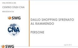 DALLO SHOPPING SFRENATO AL RAMMENDO PERSONE - CENTRO STUDI CNA UNA RICERCA DEL - CNA Viterbo-Civitavecchia