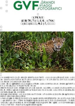 Pantanal "Alla ricerca del giaguaro" Dal 21 al 29 Settembre 2018