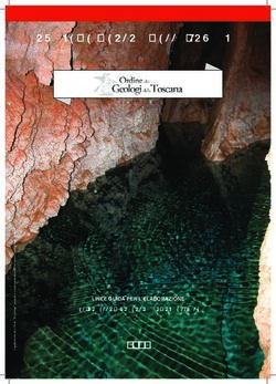 ORDINE DEI GEOLOGI DELLA TOSCANA - 2015 LINEE GUIDA PER L'ELABORAZIONE DEL MODELLO IDROGEOLOGICO CONCETTUALE