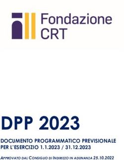 DPP 2023 DOCUMENTO PROGRAMMATICO PREVISIONALE PER L'ESERCIZIO 1.1.2023 / 31.12.2023 - Fondazione CRT