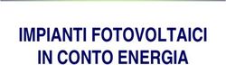 IMPIANTI FOTOVOLTAICI IN CONTO ENERGIA