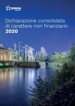 Dichiarazione consolidata di carattere non finanziario 2020