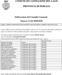 COMUNE DI CASTIGLIONE DEL LAGO PROVINCIA DI PERUGIA