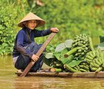 FIXING FOOD VERSO UN SISTEMA ALIMENTARE PI&Ugrave; SOSTENIBILE - Written by - Fondazione Barilla