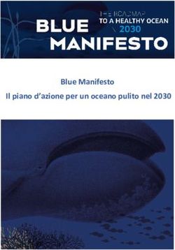 Blue Manifesto Il piano d'azione per un oceano pulito nel 2030