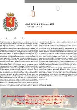 IL COMUNE DI MONSANO - Comune Monsano