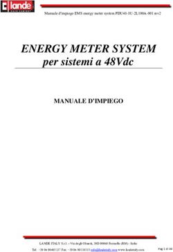 ENERGY METER SYSTEM per sistemi a 48Vdc - MANUALE D'IMPIEGO - Lande Italy