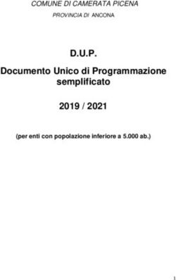 D.U.P. Documento Unico di Programmazione semplificato 2019 / 2021 - COMUNE DI CAMERATA PICENA