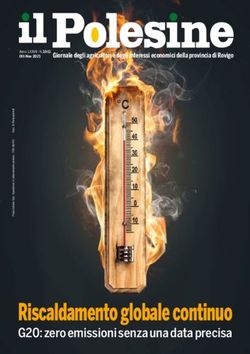 Riscaldamento globale continuo - G20: zero emissioni senza una data precisa - Confagricoltura Rovigo