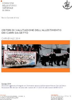 CRITERI DI VALUTAZIONE DELL'ALLESTIMENTO DEI CARRI DA GETTO
