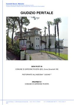 GIUDIZIO PERITALE - Comune di Gardone ...