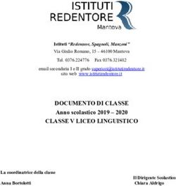 DOCUMENTO DI CLASSE Anno scolastico 2019 2020 - CLASSE V LICEO LINGUISTICO