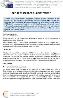 RETI TRANSEUROPEE - ORIENTAMENTI - europa.eu
