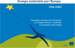 Energia sostenibile per l'Europa - 2005-2008 Campagna europea per accrescere la consapevolezza e modificare la prospettiva dell'energia