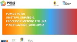 PUMS E PGTU: OBIETTIVI, STRATEGIE, PROCESSO E METODO PER UNA PIANIFICAZIONE PARTECIPATA - PUMS Bologna