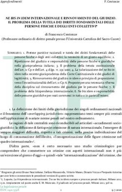 NE BIS IN IDEM INTERNAZIONALE E RINNOVAMENTO DEL GIUDIZIO - La ...