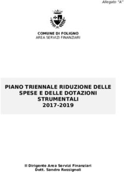 PIANO TRIENNALE RIDUZIONE DELLE SPESE E DELLE DOTAZIONI STRUMENTALI - 2017-2019 AREA SERVIZI FINANZIARI