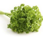 Teach with space ASTROFOOD - Lezioni sulle piante commestibili nello spazio