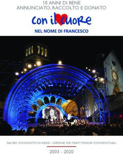 18 ANNI DI BENE ANNUNCIATO, RACCOLTO E DONATO 2003 - 2020 SACRO CONVENTO DI ASSISI - ORDINE DEI FRATI MINORI CONVENTUALI