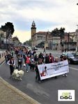 Bergamo 8 Aprile 2018 - Giornata nazionale del cane guida - Pro Loco Bergamo