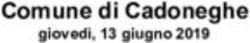 Comune di Cadoneghe giovedì, 13 giugno 2019 - Unione Dei Comuni Del Medio Brenta