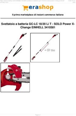 Svettatoio a batteria GC-LC 18/20 Li T - SOLO Power X- Change EINHELL 3410581