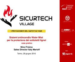Sistemi antincendio Water Mist per la protezione dei sottotetti lignei Nino Frisina Sales Director Italy Marioff - Sicurtech Village