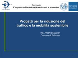 Progetti per la riduzione del traffico e la mobilit&agrave; sostenibile - Ing. Antonio Mazzon Comune di Palermo
