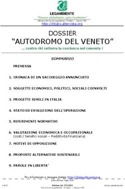 "AUTODROMO DEL VENETO" - DOSSIER