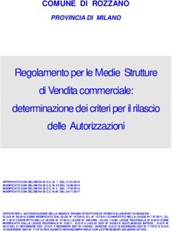Regolamento per le Medie Strutture di Vendita commerciale: determinazione dei criteri per il rilascio delle Autorizzazioni